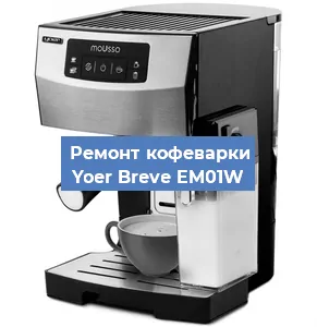 Ремонт заварочного блока на кофемашине Yoer Breve EM01W в Красноярске